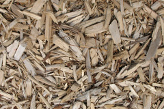biomass boilers Yardro